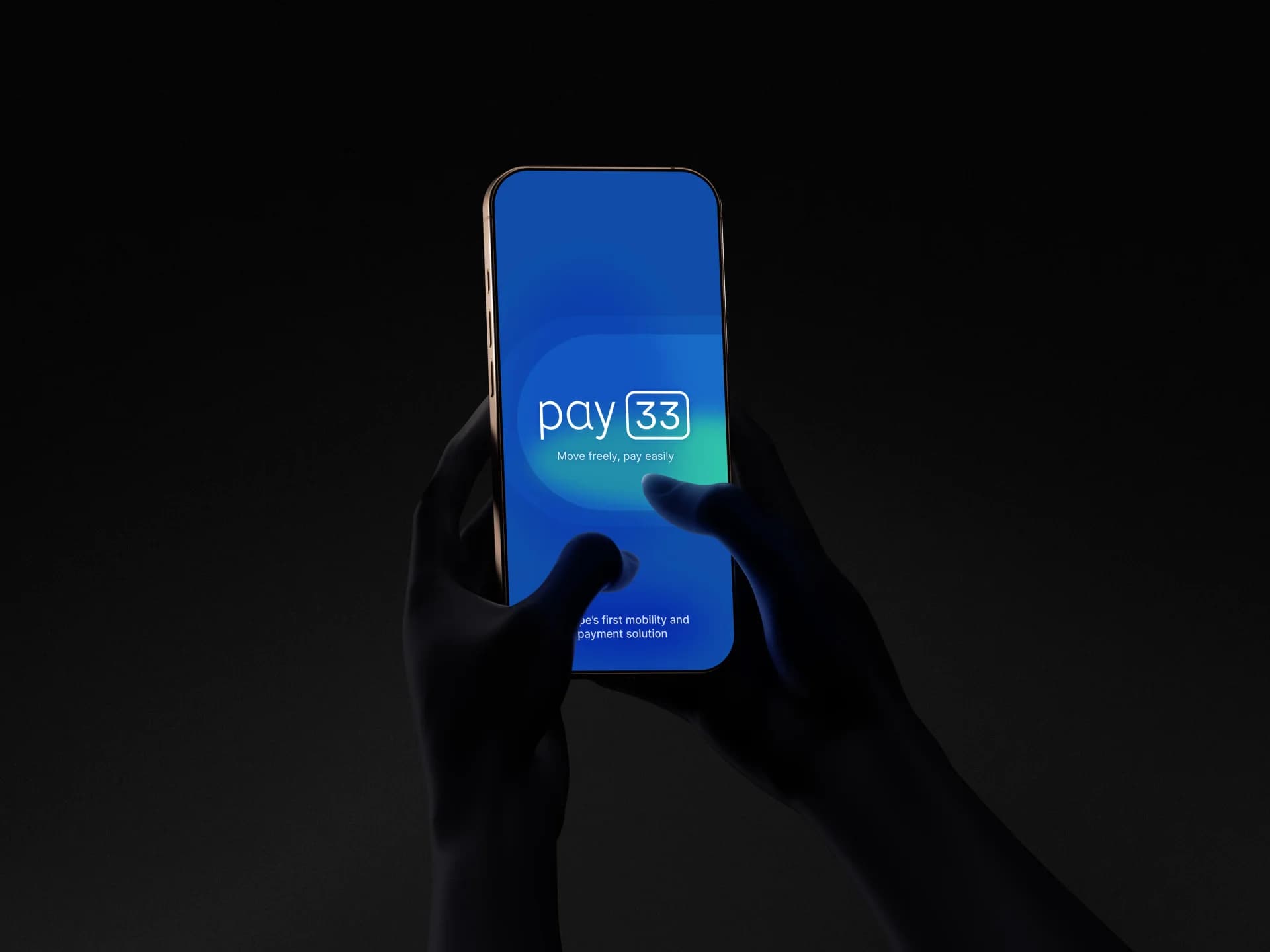 Pay33 brand design