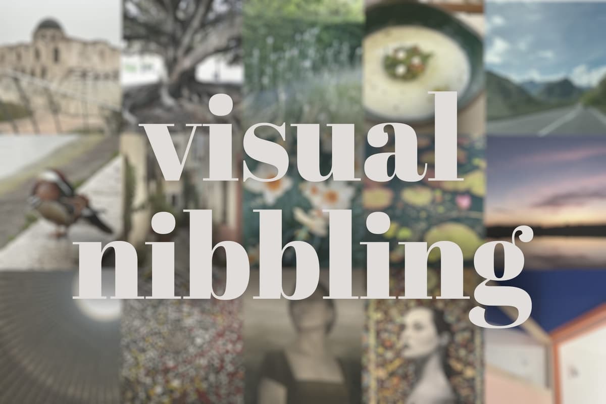 Visual Nibbling