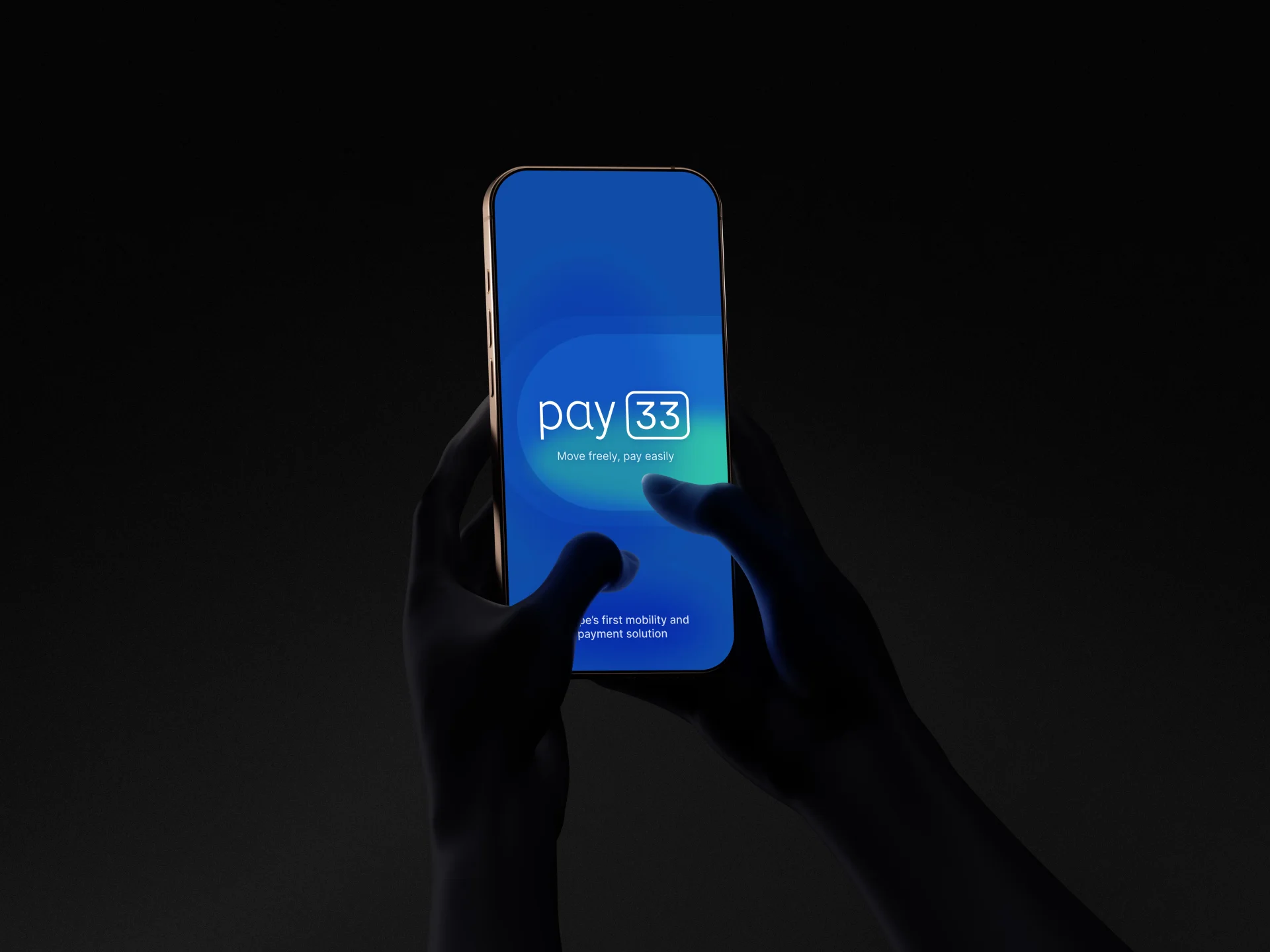 Pay33 brand design 1